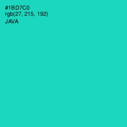 #1BD7C0 - Java Color Image
