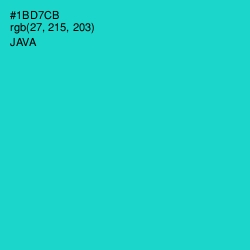 #1BD7CB - Java Color Image