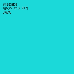 #1BD8D9 - Java Color Image