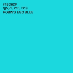 #1BD8DF - Robin's Egg Blue Color Image