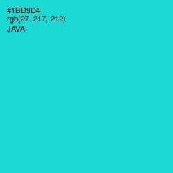 #1BD9D4 - Java Color Image