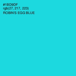 #1BD9DF - Robin's Egg Blue Color Image