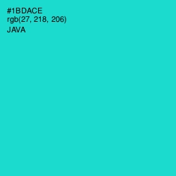 #1BDACE - Java Color Image