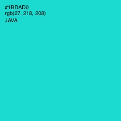 #1BDAD0 - Java Color Image