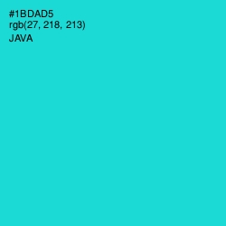 #1BDAD5 - Java Color Image