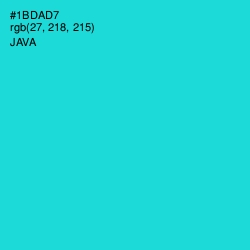 #1BDAD7 - Java Color Image