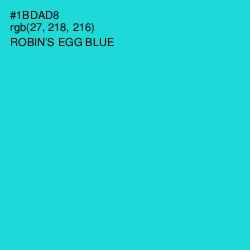 #1BDAD8 - Robin's Egg Blue Color Image