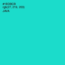 #1BDBCB - Java Color Image