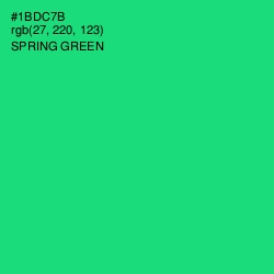 #1BDC7B - Spring Green Color Image