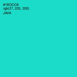 #1BDCC8 - Java Color Image