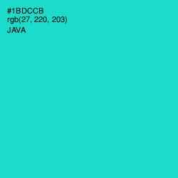 #1BDCCB - Java Color Image