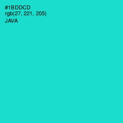 #1BDDCD - Java Color Image