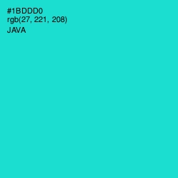 #1BDDD0 - Java Color Image