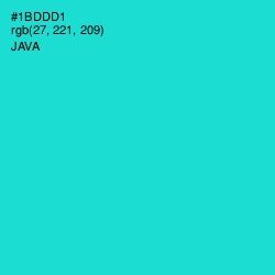 #1BDDD1 - Java Color Image