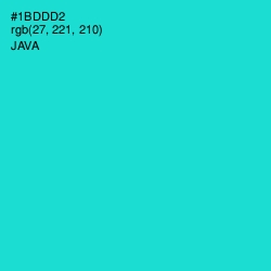 #1BDDD2 - Java Color Image