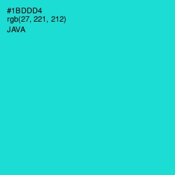 #1BDDD4 - Java Color Image