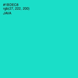 #1BDEC8 - Java Color Image