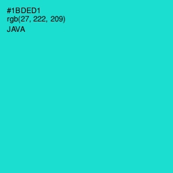 #1BDED1 - Java Color Image