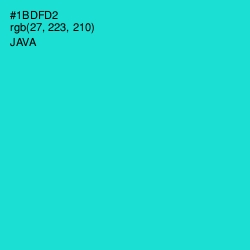 #1BDFD2 - Java Color Image