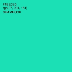 #1BE0B5 - Shamrock Color Image