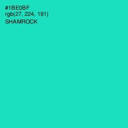 #1BE0BF - Shamrock Color Image