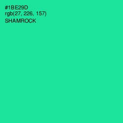 #1BE29D - Shamrock Color Image