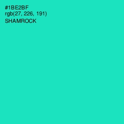 #1BE2BF - Shamrock Color Image