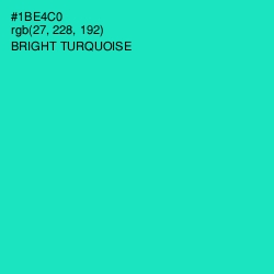 #1BE4C0 - Bright Turquoise Color Image