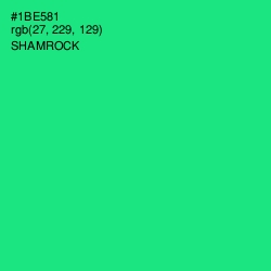 #1BE581 - Shamrock Color Image
