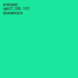 #1BE69D - Shamrock Color Image