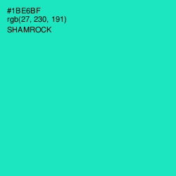 #1BE6BF - Shamrock Color Image