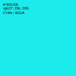 #1BECEB - Cyan / Aqua Color Image