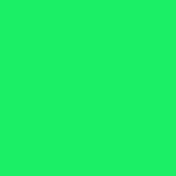 #1BEF66 - Spring Green Color Image