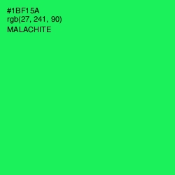 #1BF15A - Malachite Color Image