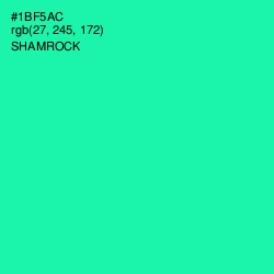 #1BF5AC - Shamrock Color Image