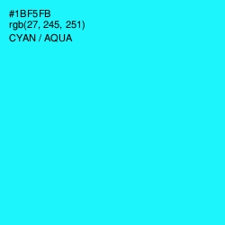 #1BF5FB - Cyan / Aqua Color Image