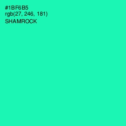 #1BF6B5 - Shamrock Color Image