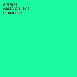 #1BF9A1 - Shamrock Color Image