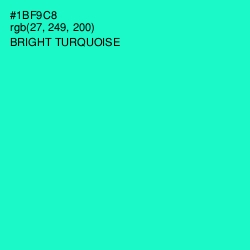 #1BF9C8 - Bright Turquoise Color Image