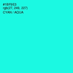 #1BF9E3 - Cyan / Aqua Color Image