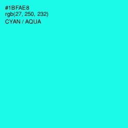 #1BFAE8 - Cyan / Aqua Color Image