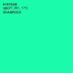 #1BFBAB - Shamrock Color Image