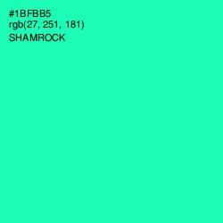 #1BFBB5 - Shamrock Color Image