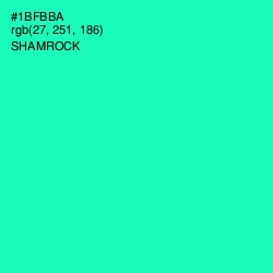 #1BFBBA - Shamrock Color Image