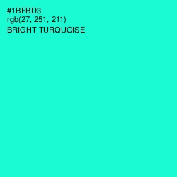 #1BFBD3 - Bright Turquoise Color Image