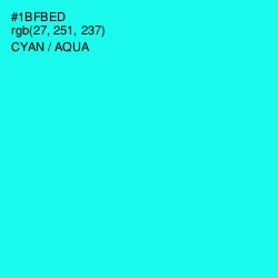 #1BFBED - Cyan / Aqua Color Image