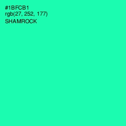 #1BFCB1 - Shamrock Color Image