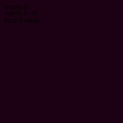 #1C0013 - Night Rider Color Image