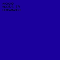 #1C009D - Ultramarine Color Image