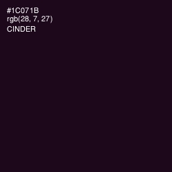 #1C071B - Cinder Color Image